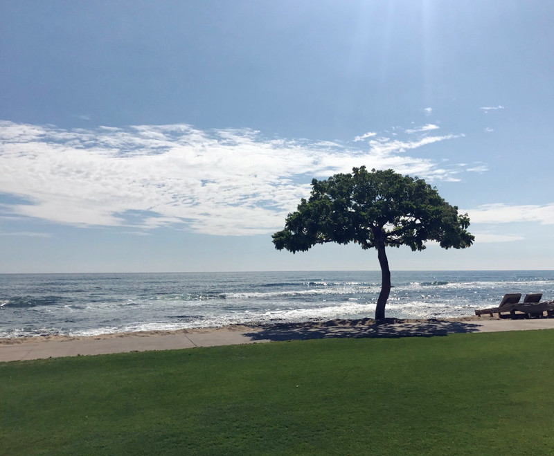 ../Images/LIAO,SHU-CHEN.Four Seasons Resort Hualalai.jpg